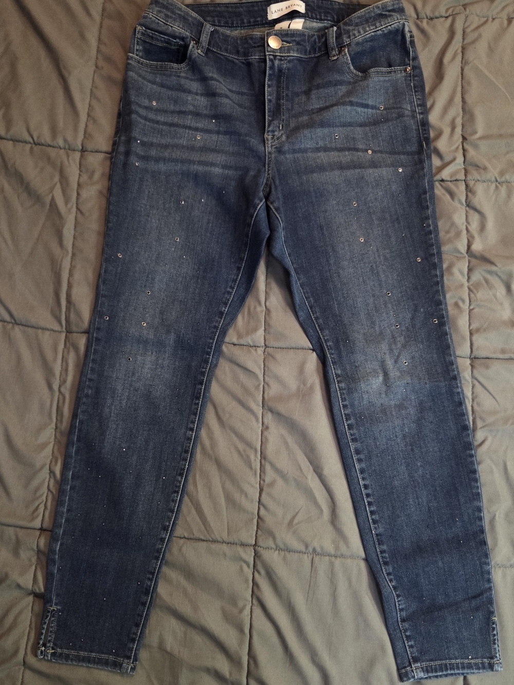 Lane Bryant Dark Blue Skinny Jeans with Subtle Stud Detail
